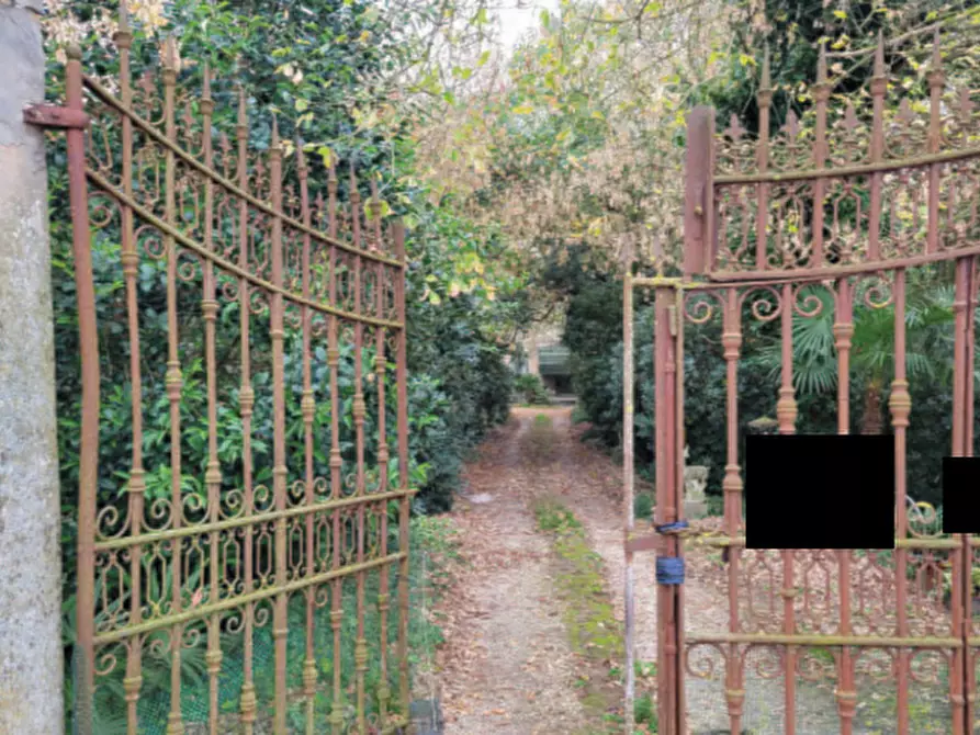 Immagine 15 di Villa in vendita  in Via Del Mare a Loreo