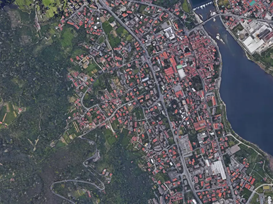 Immagine 2 di Terreno agricolo in vendita  in Via Ronco Praderigo a Olginate