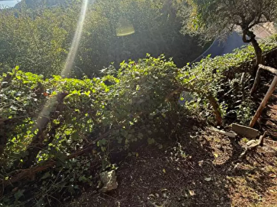 Immagine 15 di Casa bifamiliare in vendita  in Via Panoramica a Gardone Riviera