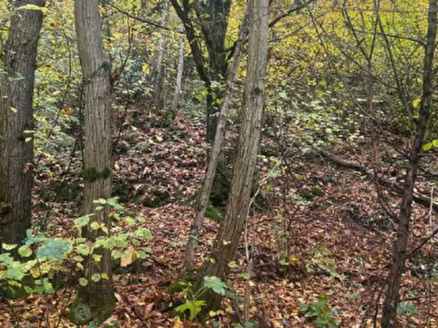 Immagine 20 di Casa bifamiliare in vendita  in Via Panoramica a Gardone Riviera