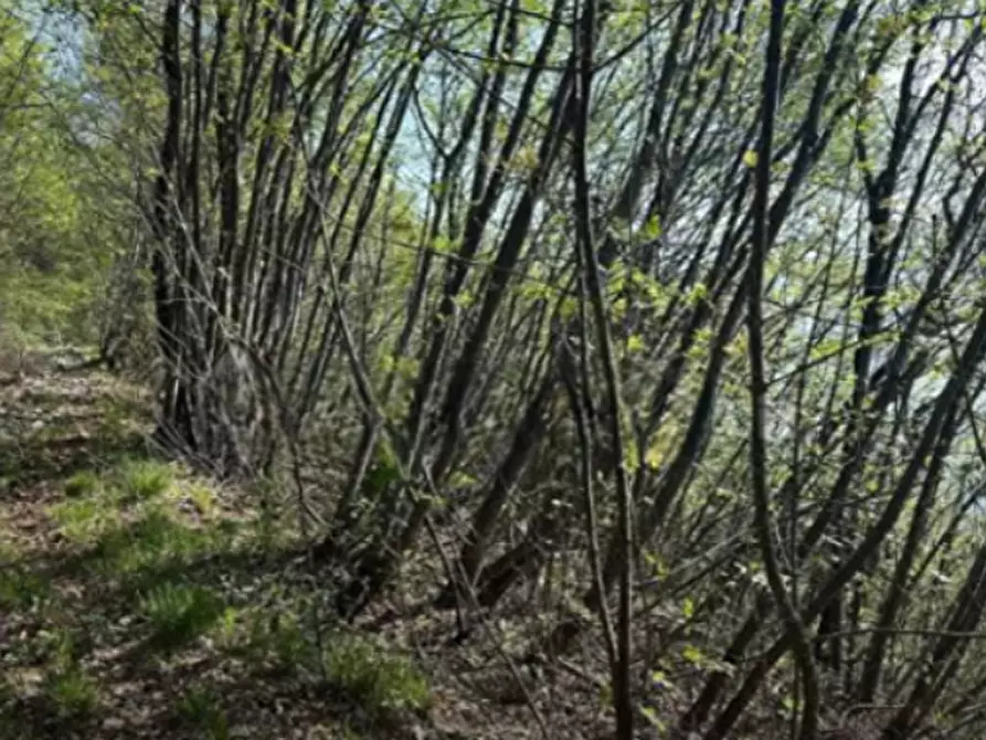 Immagine 1 di Terreno agricolo in vendita  in località Gardone Riviera a Gardone Riviera