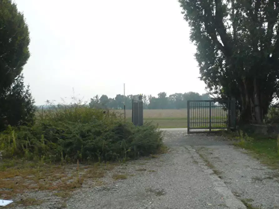 Immagine 3 di Rustico / casale in vendita  in Via Mezzanone a Caselle Landi