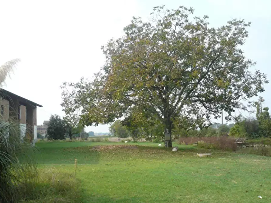 Immagine 4 di Rustico / casale in vendita  in Via Mezzanone a Caselle Landi