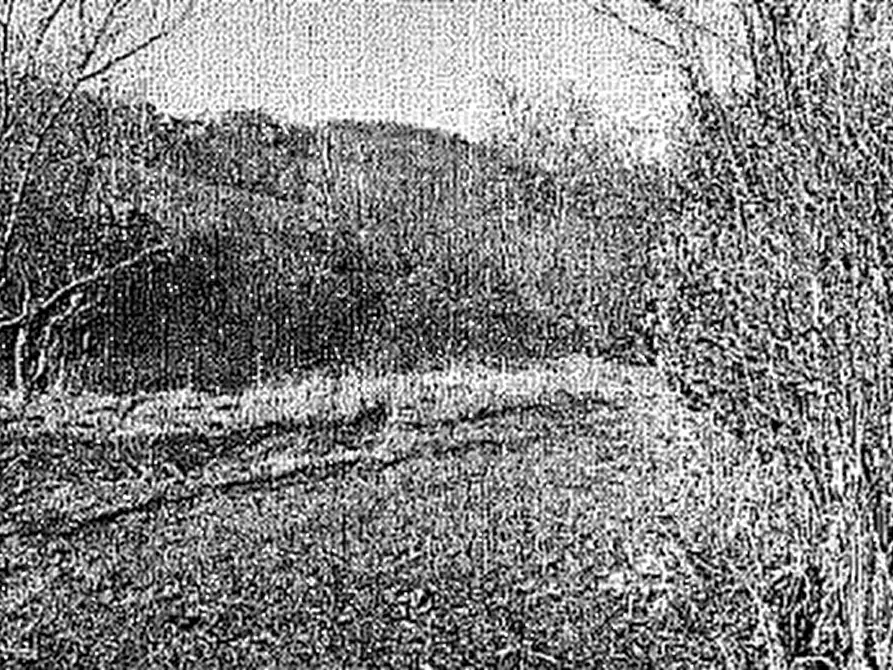 Immagine 3 di Terreno agricolo in vendita  in Località Scanzorosciate a Scanzorosciate