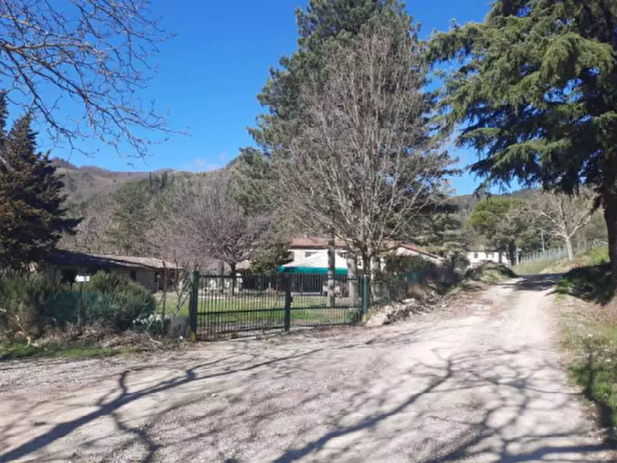 Immagine 3 di Casa indipendente in vendita  in via Santa Reparata a Modigliana