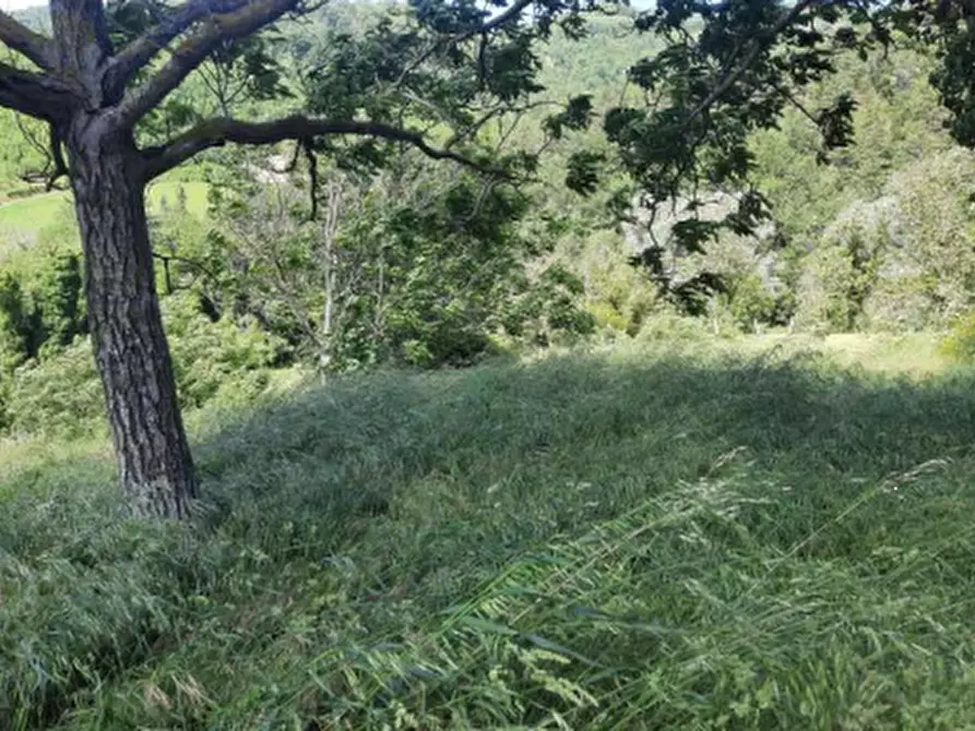 Immagine 13 di Casa indipendente in vendita  in via Santa Reparata a Modigliana