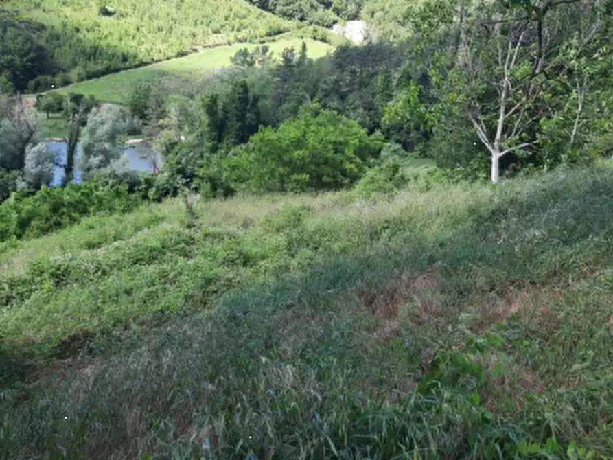 Immagine 14 di Casa indipendente in vendita  in via Santa Reparata a Modigliana
