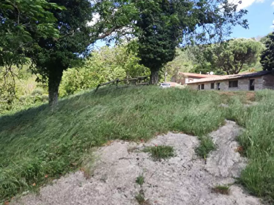 Immagine 15 di Casa indipendente in vendita  in via Santa Reparata a Modigliana