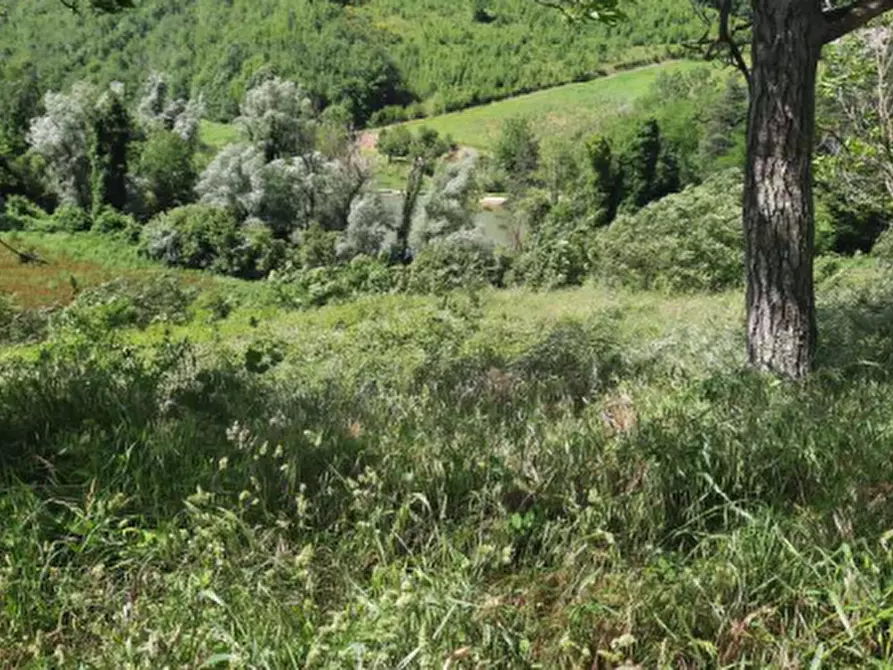 Immagine 16 di Casa indipendente in vendita  in via Santa Reparata a Modigliana