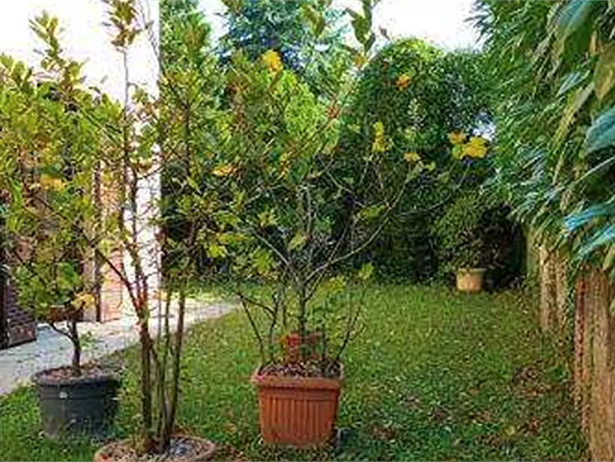 Immagine 4 di Appartamento in vendita  in Via Armando Diaz  a Bernareggio