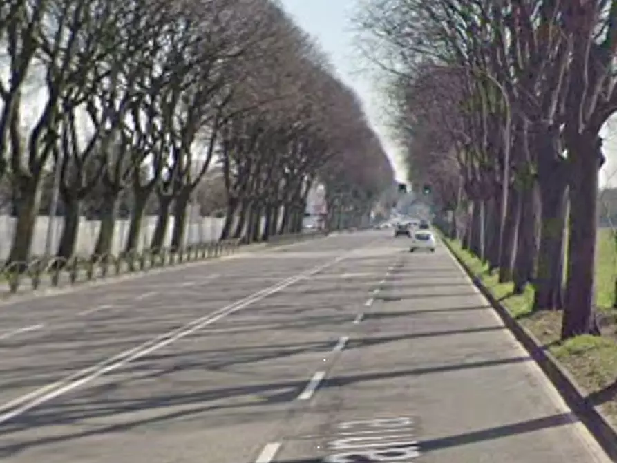 Immagine 8 di Terreno agricolo in vendita  in Viale Campania a Monza