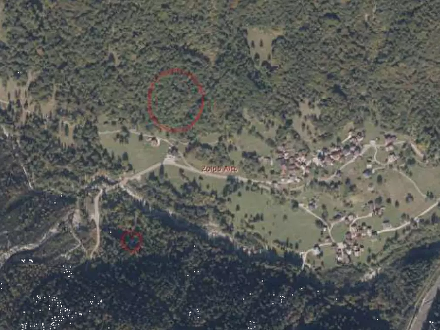 Immagine 1 di Terreno agricolo in vendita  in Via Dogna a Longarone