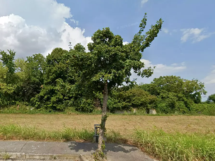 Immagine 6 di Terreno edificabile in vendita  in Via Madre Teresa di Calcutta a Merlara