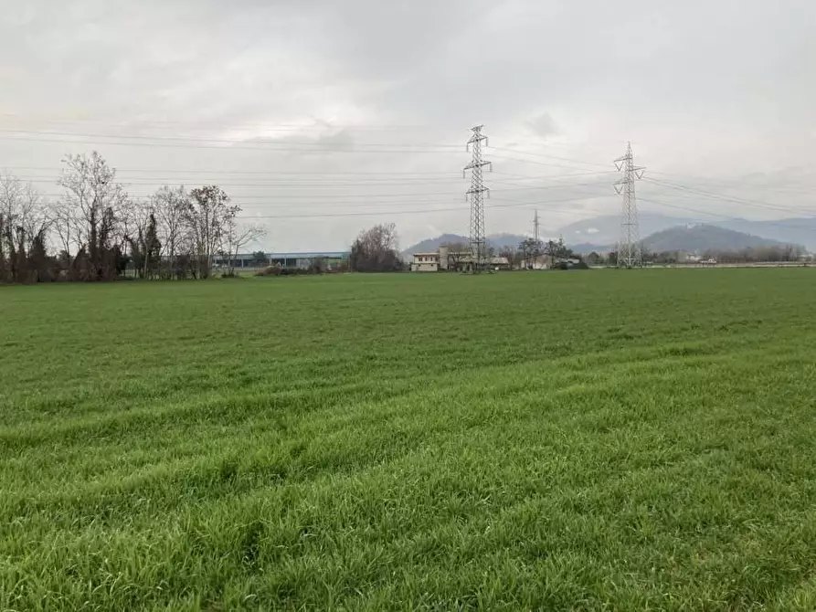 Immagine 10 di Stabile in vendita  in Via Portico a Bagnatica