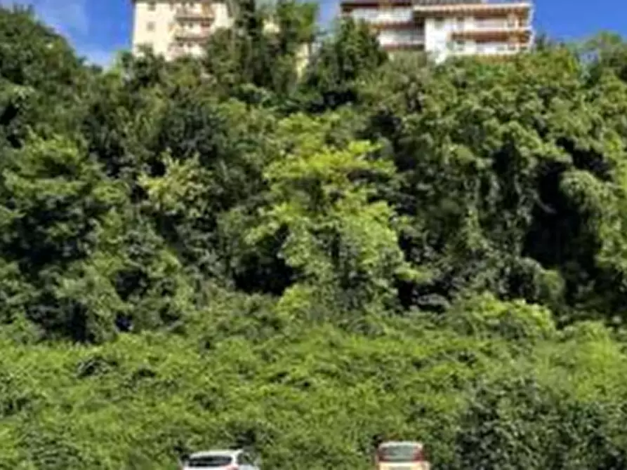 Immagine 4 di Terreno agricolo in vendita  in Viale dei Dendrofori a Belluno