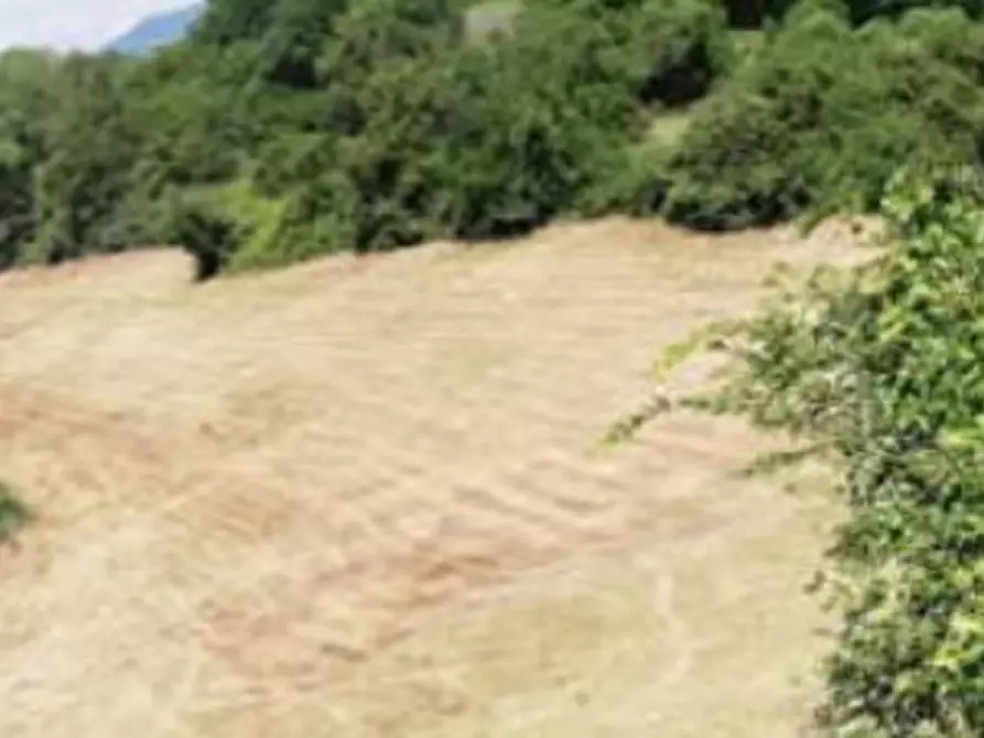 Immagine 3 di Terreno agricolo in vendita  in Via Poletti a Fara Vicentino