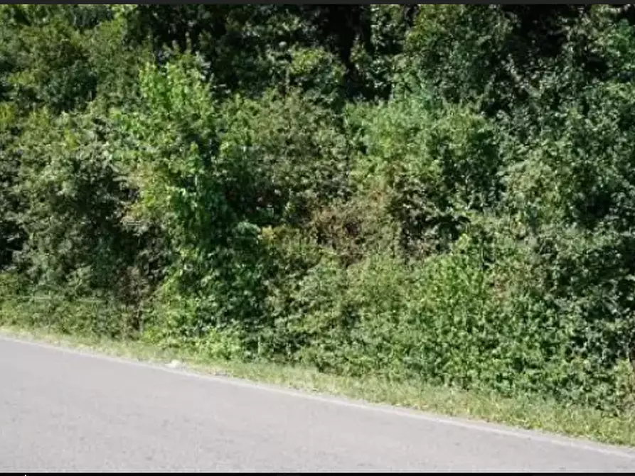 Immagine 1 di Terreno agricolo in vendita  in Strada Provinciale a Sovizzo