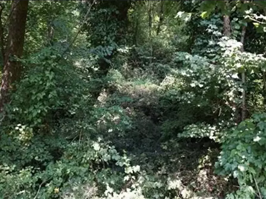 Immagine 3 di Terreno agricolo in vendita  in Strada Provinciale a Sovizzo