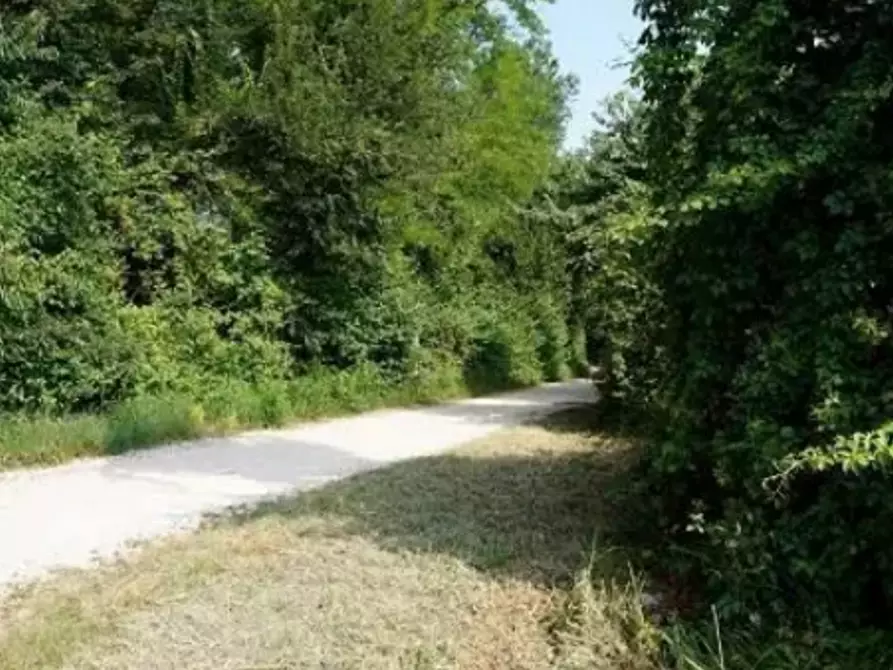 Immagine 1 di Terreno agricolo in vendita  in località Monte San Lorenzo a Sovizzo