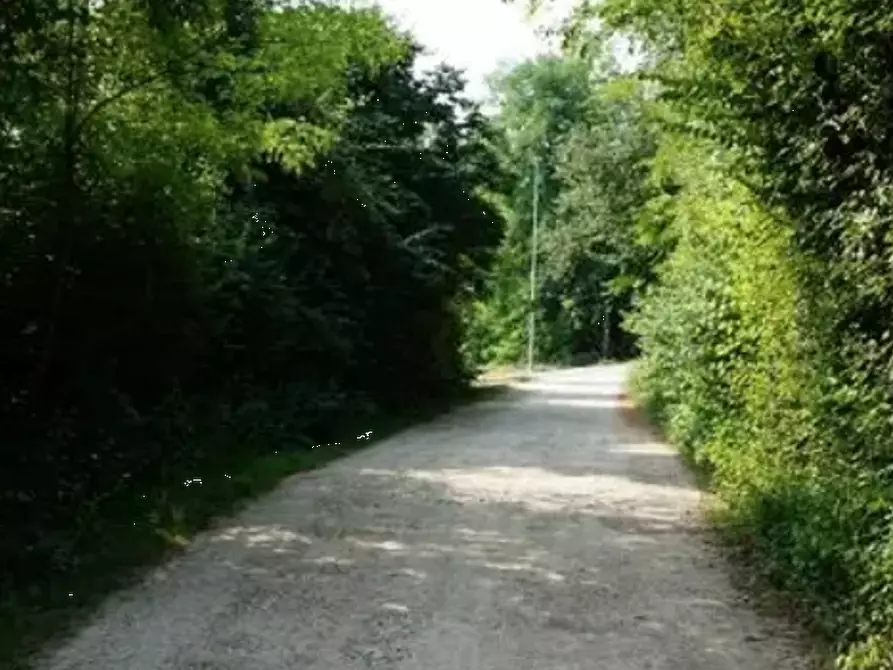 Immagine 3 di Terreno agricolo in vendita  in località Monte San Lorenzo a Sovizzo