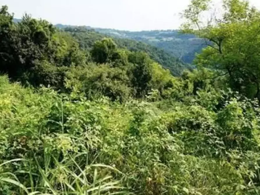Immagine 1 di Terreno agricolo in vendita  in località Monte San Lorenzo a Sovizzo
