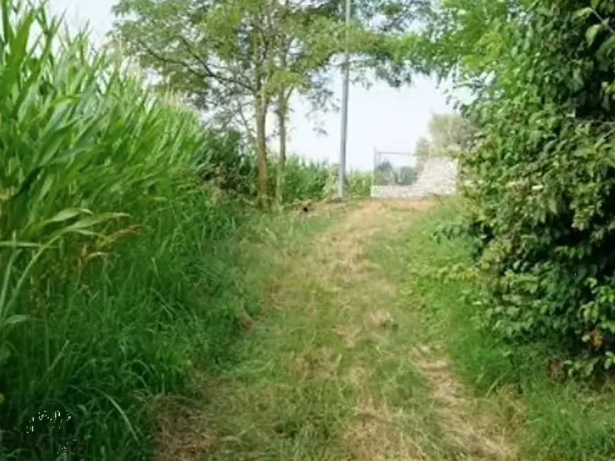Immagine 2 di Terreno agricolo in vendita  in località Monte San Lorenzo a Sovizzo