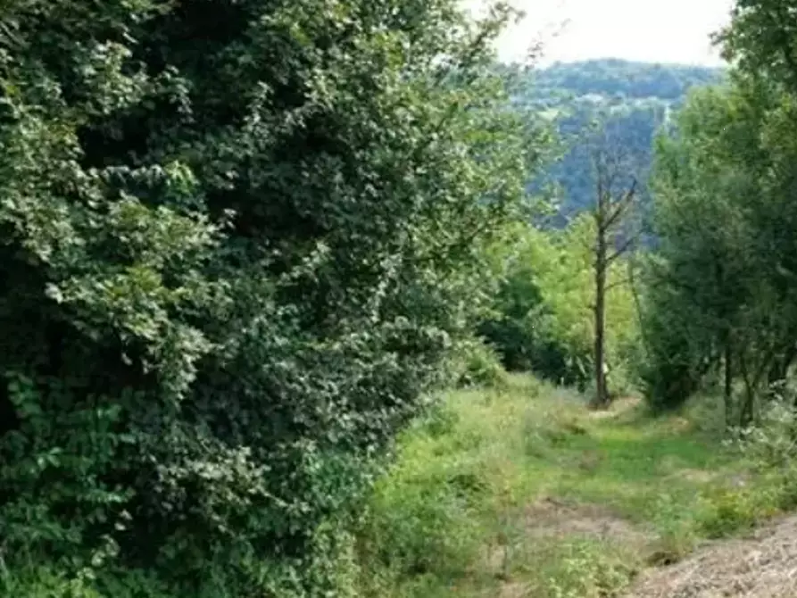 Immagine 3 di Terreno agricolo in vendita  in località Monte San Lorenzo a Sovizzo