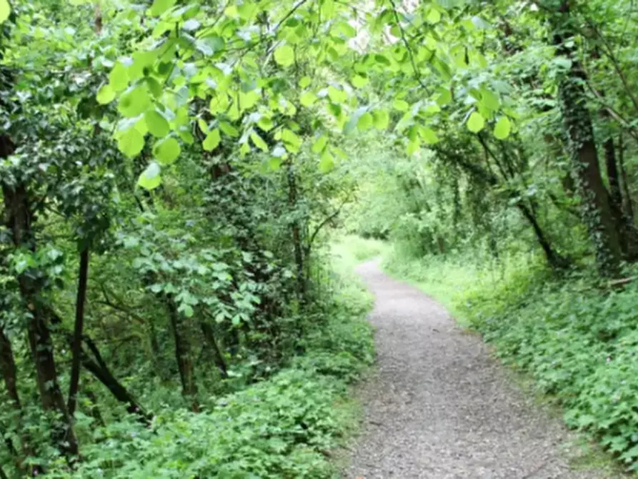 Immagine 1 di Terreno agricolo in vendita  in Via Tagliamento a Besana In Brianza