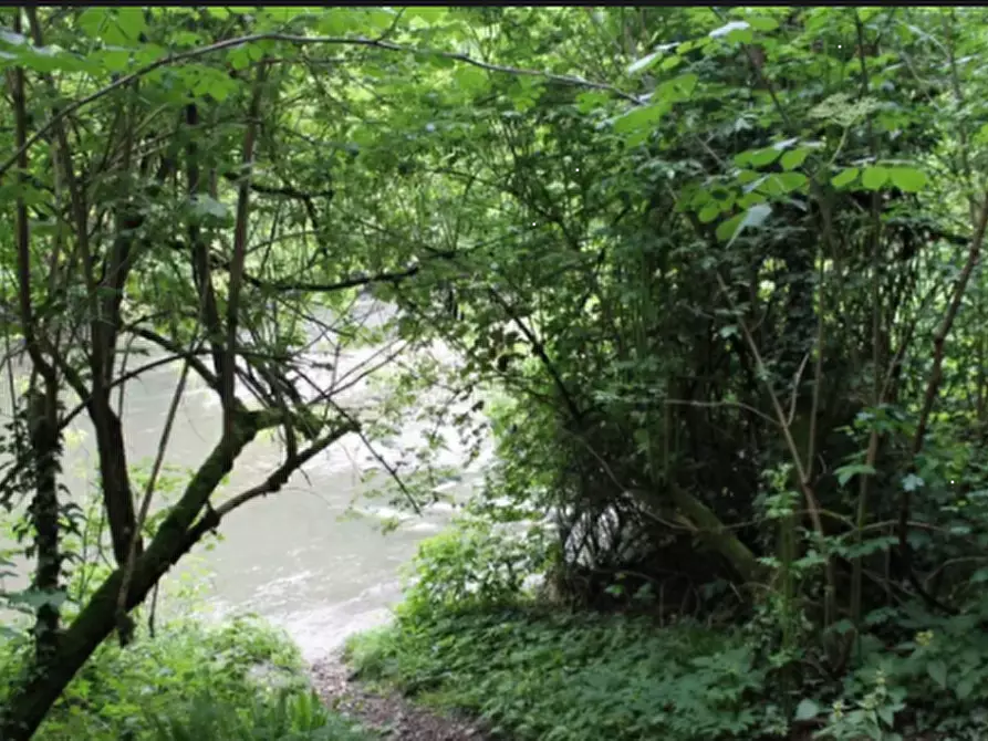 Immagine 3 di Terreno agricolo in vendita  in Via Tagliamento a Besana In Brianza