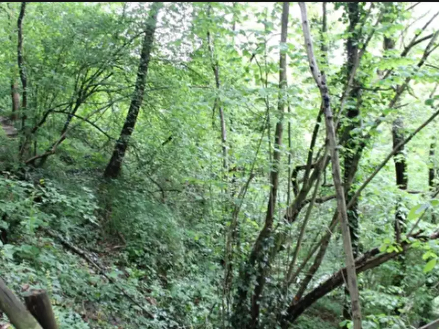 Immagine 5 di Terreno agricolo in vendita  in Via Tagliamento a Besana In Brianza