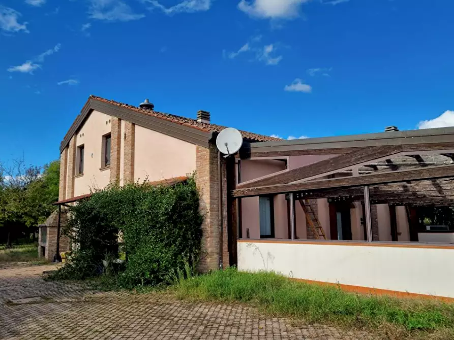 Immagine 2 di Azienda agricola in vendita  in Sant'Egidio a Ferrara