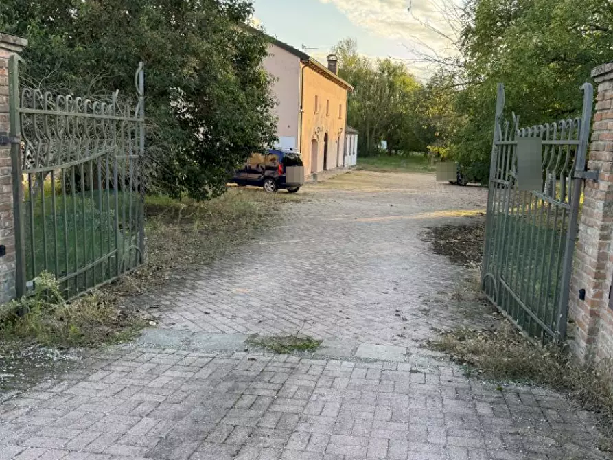 Immagine 3 di Azienda agricola in vendita  in Sant'Egidio a Ferrara