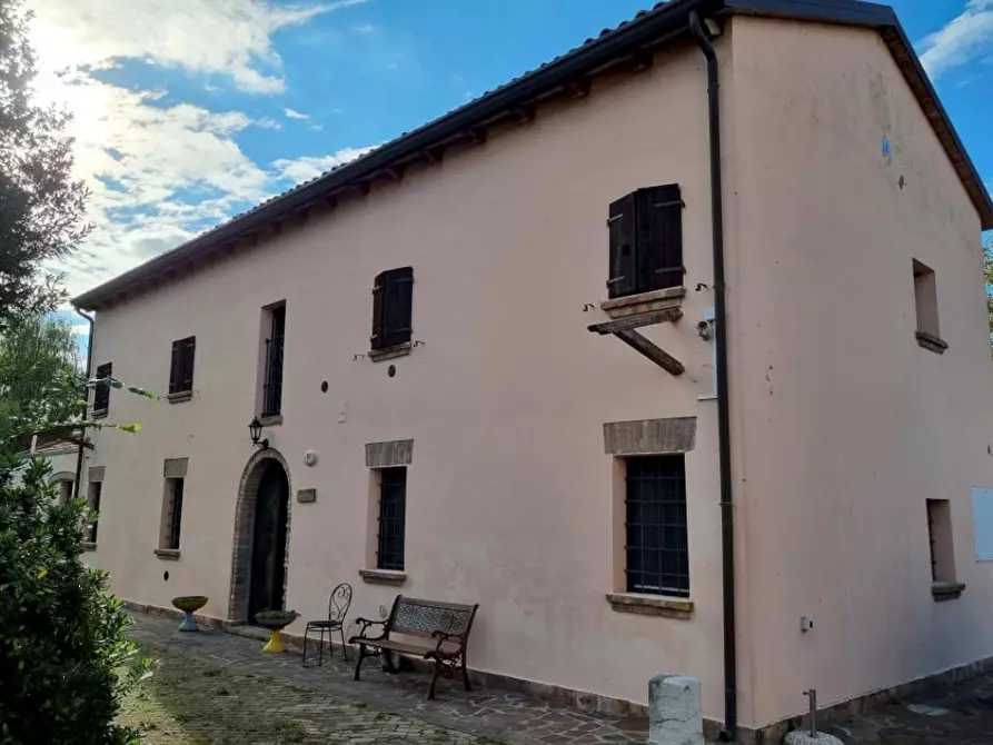 Immagine 4 di Azienda agricola in vendita  in Sant'Egidio a Ferrara