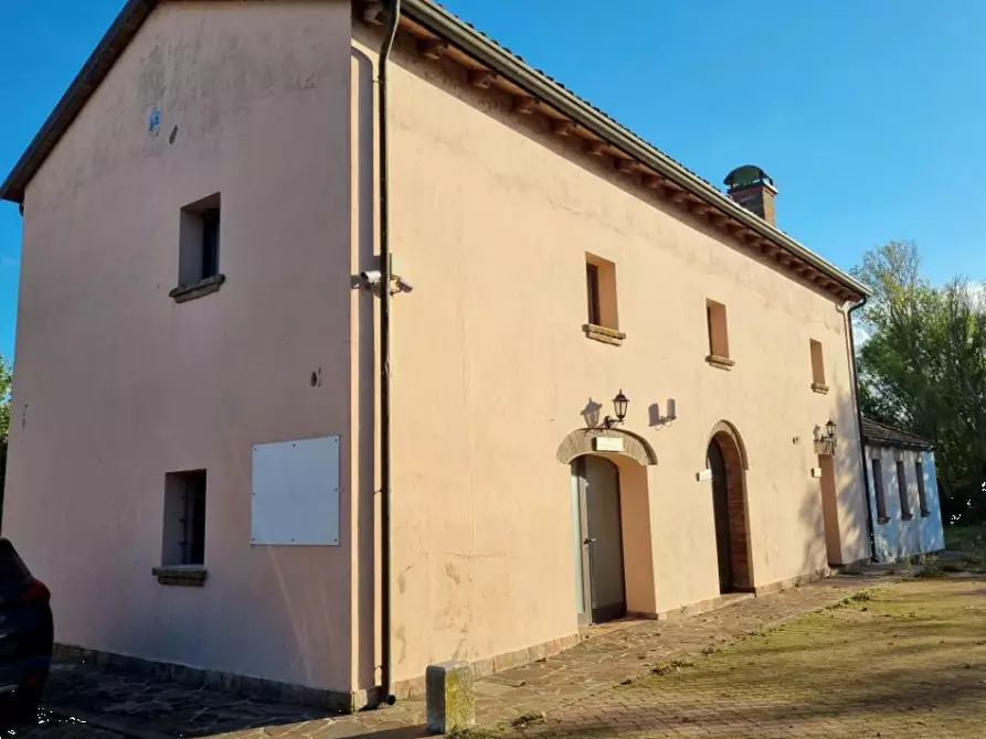 Immagine 5 di Azienda agricola in vendita  in Sant'Egidio a Ferrara