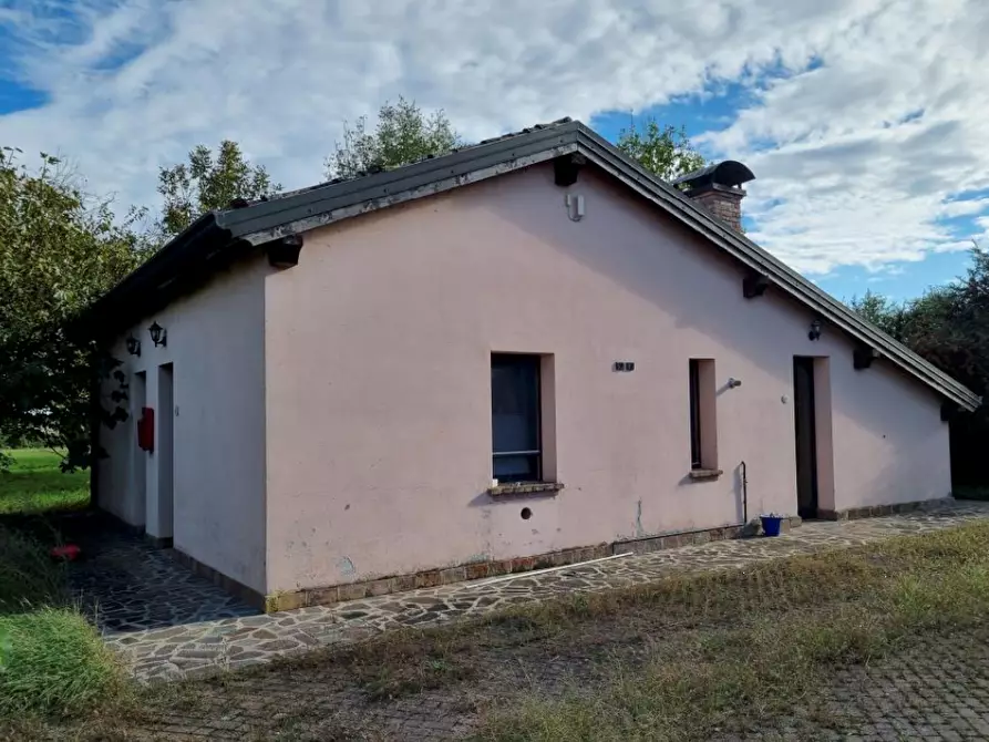 Immagine 6 di Azienda agricola in vendita  in Sant'Egidio a Ferrara