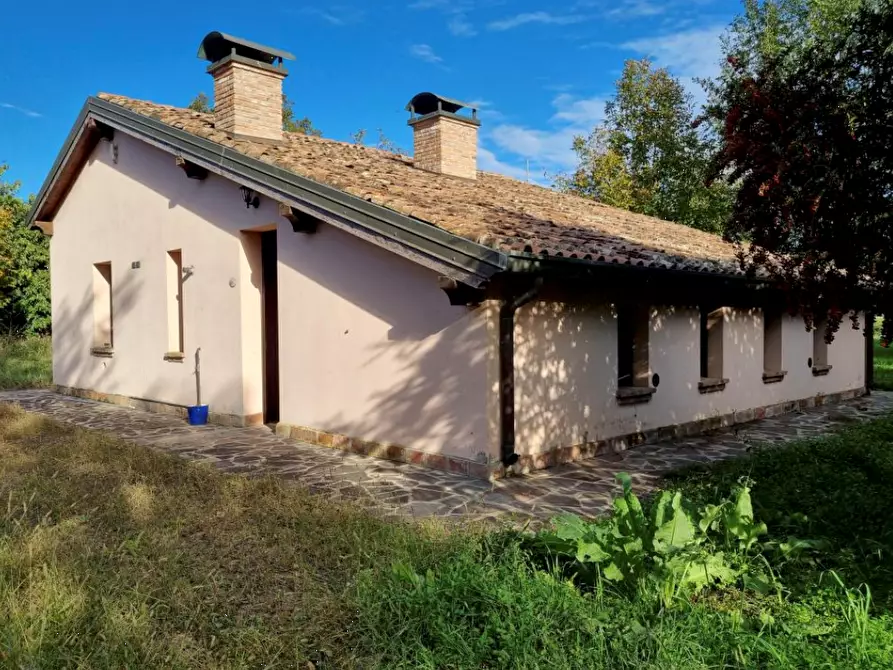 Immagine 7 di Azienda agricola in vendita  in Sant'Egidio a Ferrara