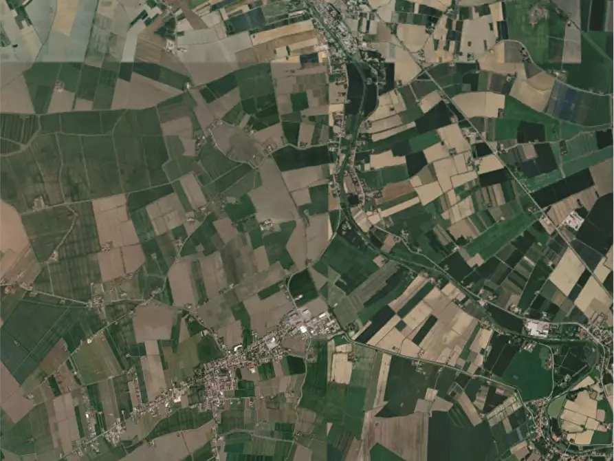 Immagine 10 di Azienda agricola in vendita  in Sant'Egidio a Ferrara