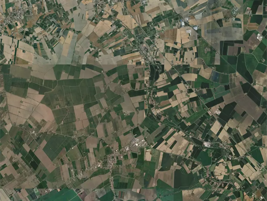 Immagine 11 di Azienda agricola in vendita  in Sant'Egidio a Ferrara