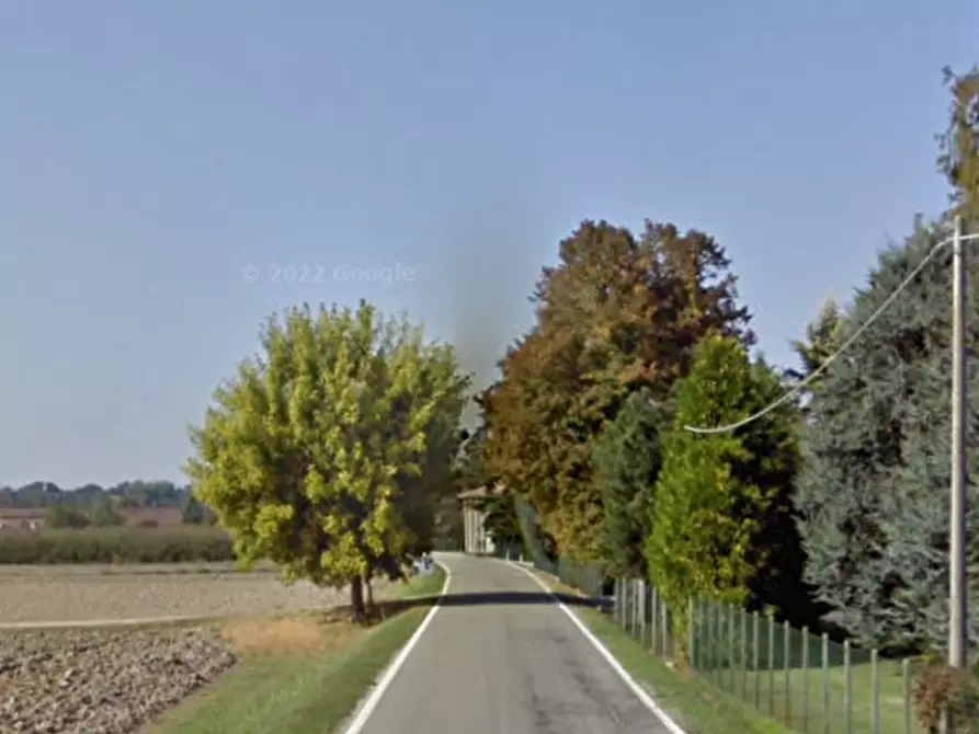 Immagine 13 di Azienda agricola in vendita  in Sant'Egidio a Ferrara