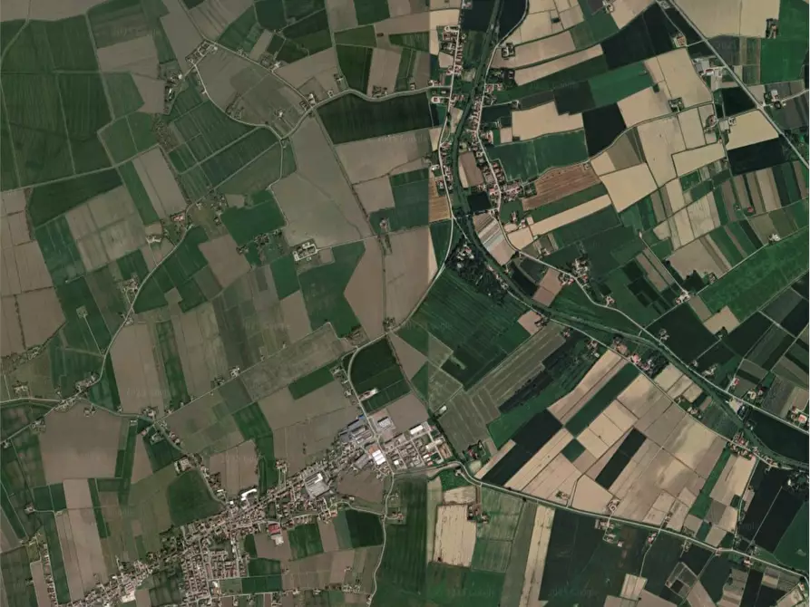 Immagine 19 di Azienda agricola in vendita  in Sant'Egidio a Ferrara