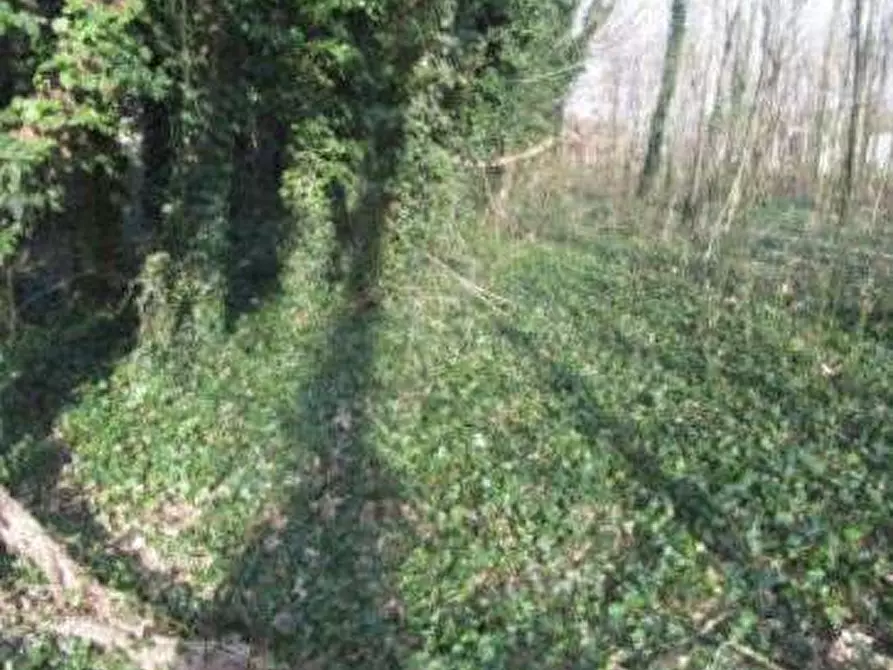 Immagine 1 di Terreno edificabile in vendita  in Guardamiglio  a Guardamiglio