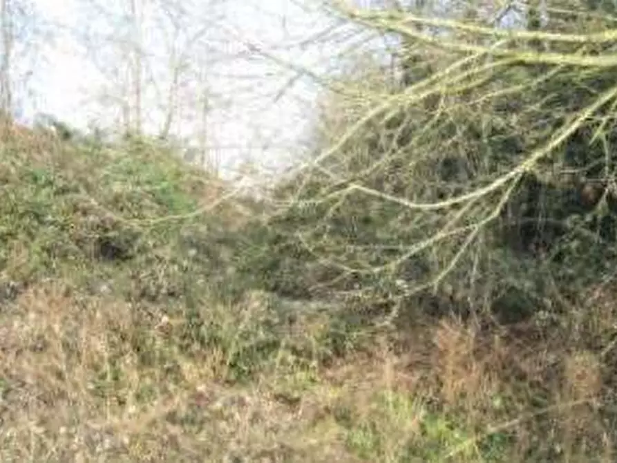 Immagine 3 di Terreno edificabile in vendita  in Guardamiglio  a Guardamiglio