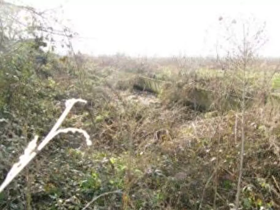 Immagine 4 di Terreno edificabile in vendita  in Guardamiglio  a Guardamiglio