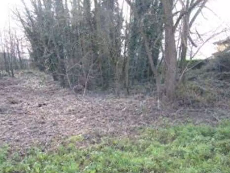 Immagine 5 di Terreno edificabile in vendita  in Guardamiglio  a Guardamiglio