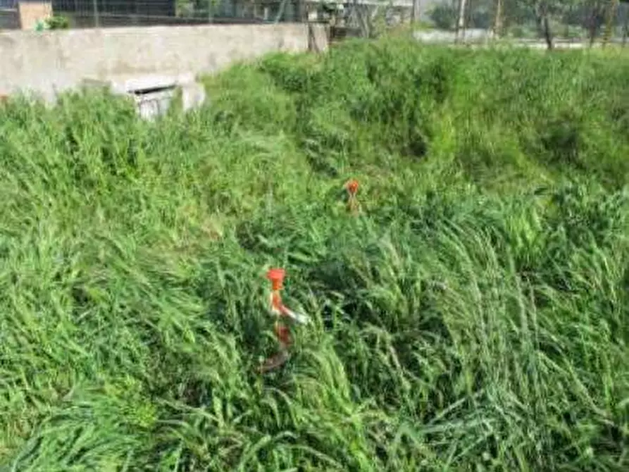 Immagine 7 di Terreno edificabile in vendita  in Guardamiglio  a Guardamiglio