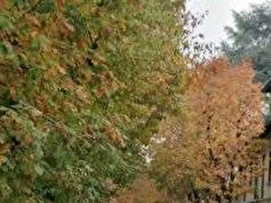 Immagine 10 di Garage in vendita  in Via Dante Alighieri a Brugherio