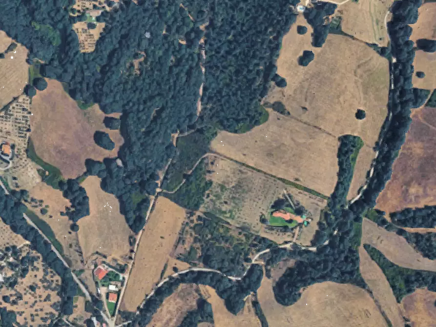 Immagine 4 di Terreno agricolo in vendita  in Via Monte Agliano a Trevignano Romano