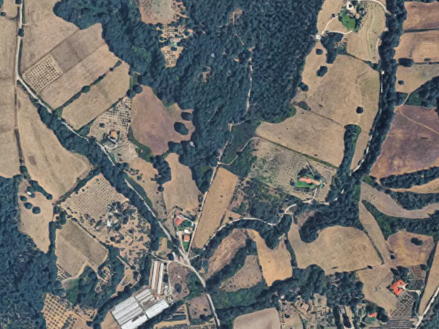 Immagine 5 di Terreno agricolo in vendita  in Via Monte Agliano a Trevignano Romano