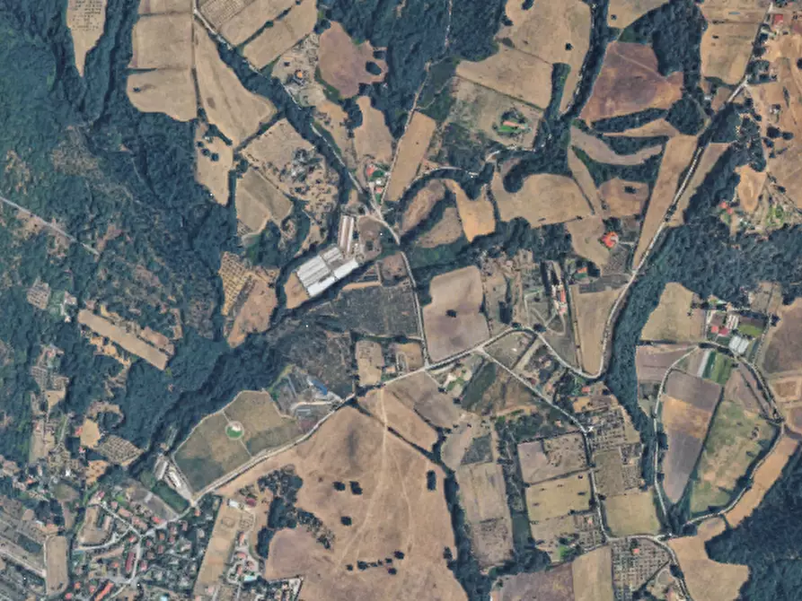 Immagine 6 di Terreno agricolo in vendita  in Via Monte Agliano a Trevignano Romano