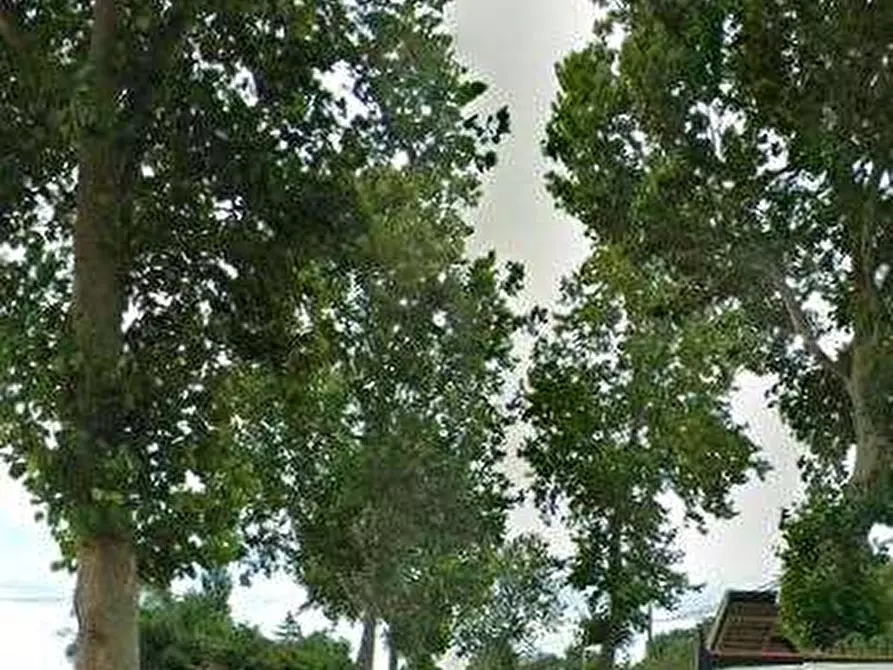 Immagine 5 di Casa indipendente in vendita  in Via Lidi Ferraresi a Ostellato